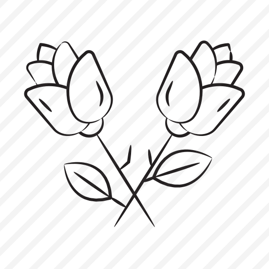 Roses, Rosebuds, Flower, Floral, Propose preview