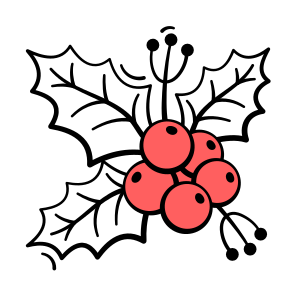Mistletoe, Christmas, Holly, Berries, Winter icon