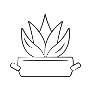 Aloe Vera icon