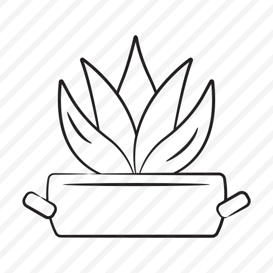Aloe Vera preview