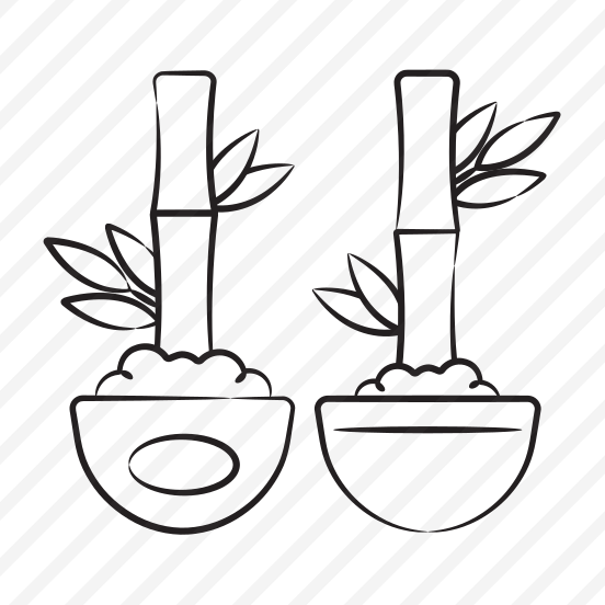 Bamboo Sticks preview