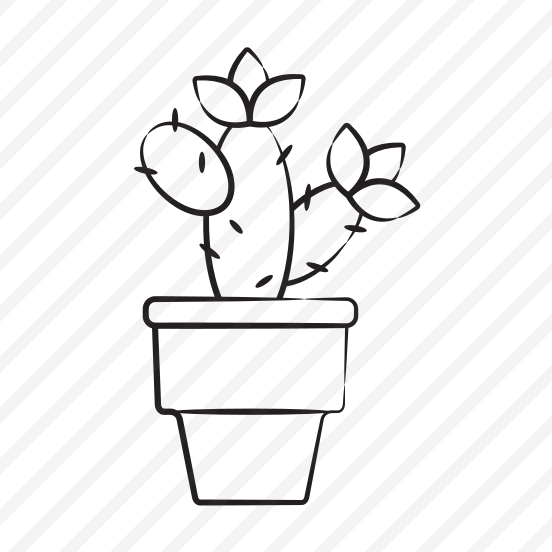 Cactus Pot preview
