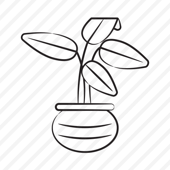 Dumb Cane preview