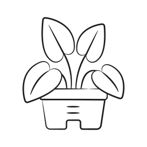 Elephant Plant icon
