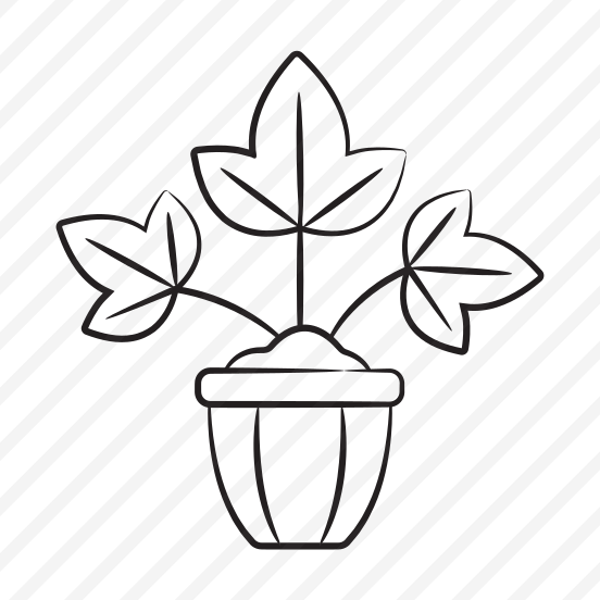 Fiddle Plant preview
