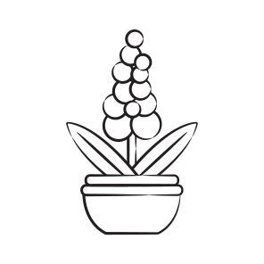 Hyacinth Plant icon
