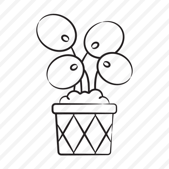 Indoor Houseplant preview