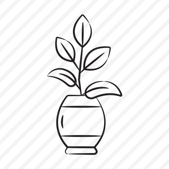 Indoor Plant preview