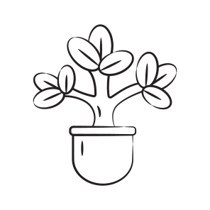 Jade Plant icon