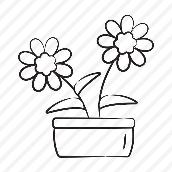 Kalanchoe Plant preview