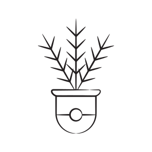 Lady Palm icon