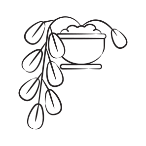Leaves Bail icon