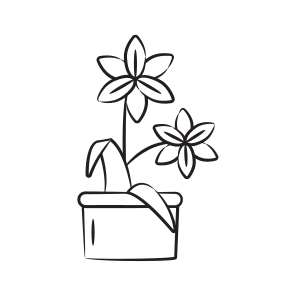 Lily Flowers icon