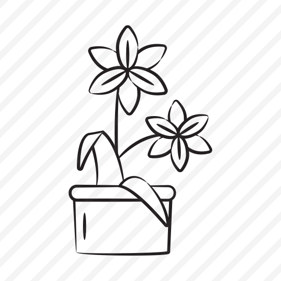 Lily Flowers preview