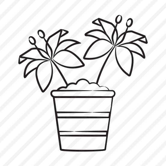 Lily Pot preview