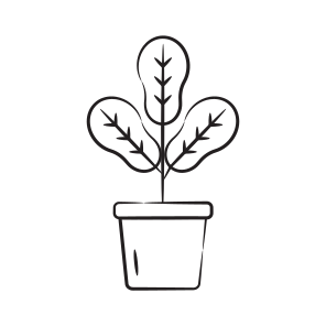 Maranta Plant icon