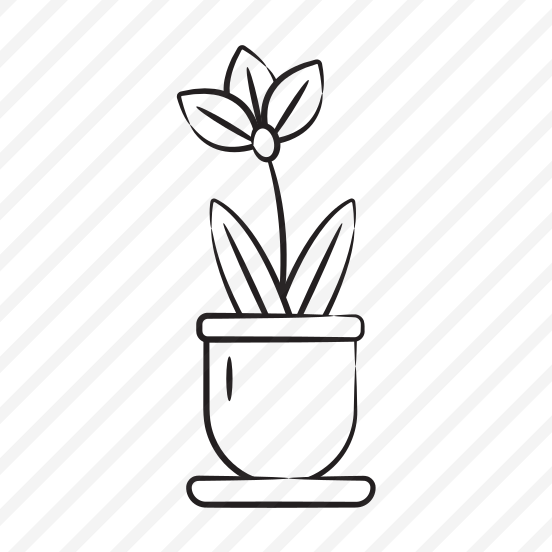 Orchid Pot preview