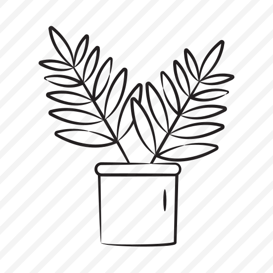 Palm Leaves preview