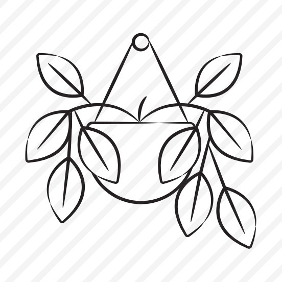 Pilea Plant preview