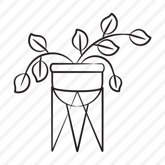Plant preview