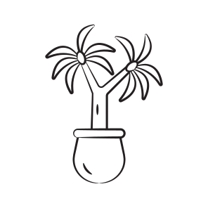 Ponytail Plant icon
