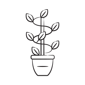 Pothos Plant icon