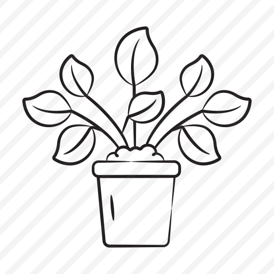 Potted Plant preview