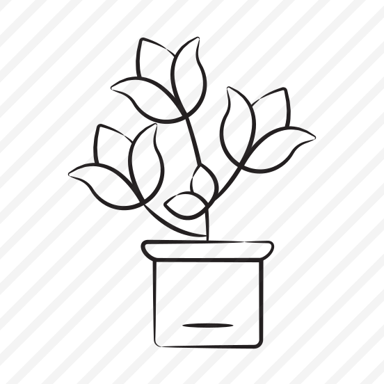 Rose Pot preview