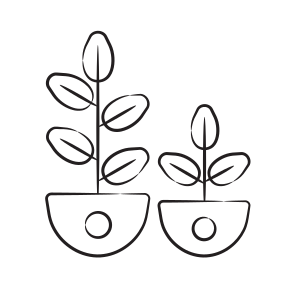Rubber Plant icon