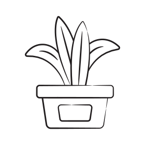 Snake Plant icon