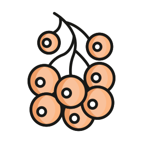 Berries, Blueberries, Grapes, Fruit, Nature icon