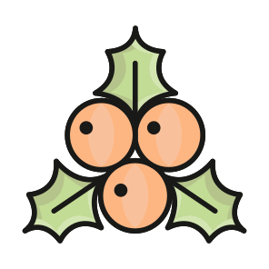 Christmas, Berries, Holy, Mistletoe, Acai icon