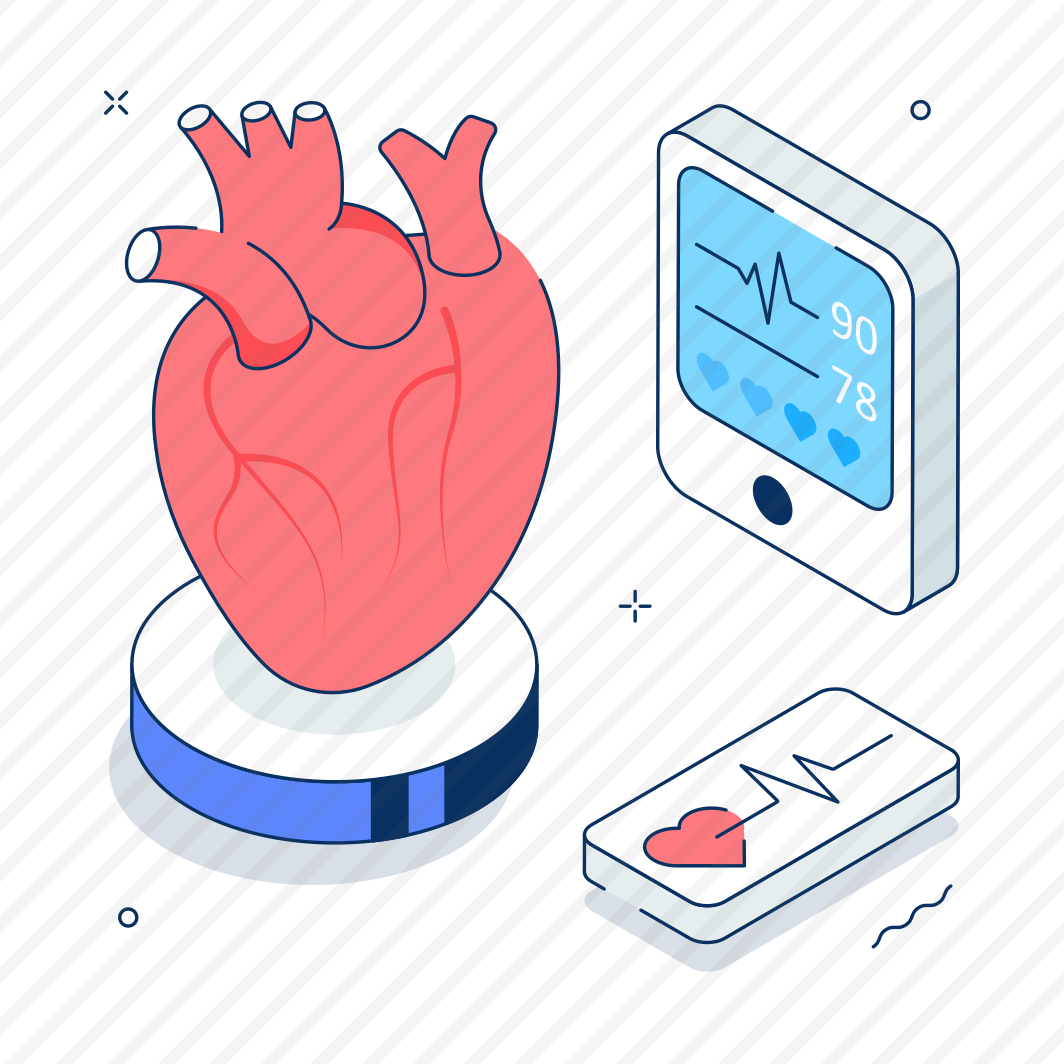 Heart, Health, Cardiology, Cardiovascular, Test preview
