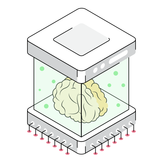 Brain, Mind, Intelligence, Ai, Chamber illustration