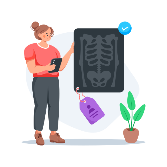 X Ray, Radiology, Diagnosis, Medical, Scan illustration