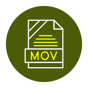Fileformats, Documentformats, Imageformats, Audiovideoformats, Fileextensions (336) icon