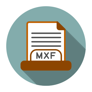 File,document,education,file Formats,fileextensions,icon,vector (282) icon