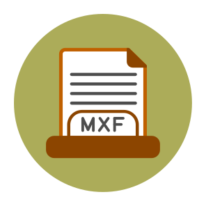 File,document,education,file Formats,fileextensions,icon,vector (282) icon