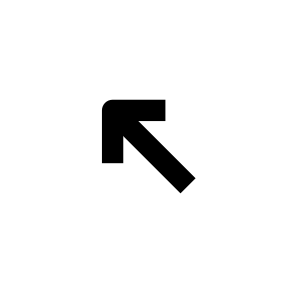 Arrow Up Left 1 icon
