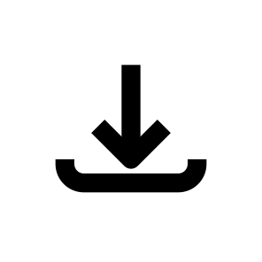Import icon