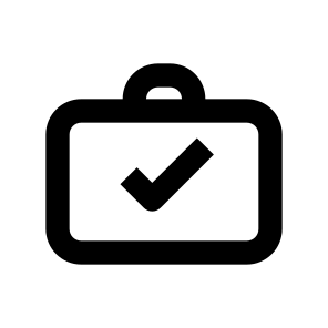 Checked Baggage 2 icon
