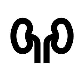 Kidney 1 icon