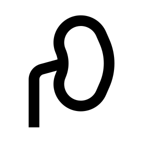 Kidney icon