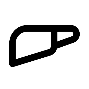 Liver icon