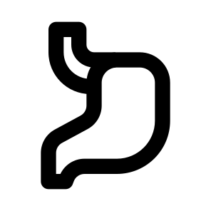Stomach icon