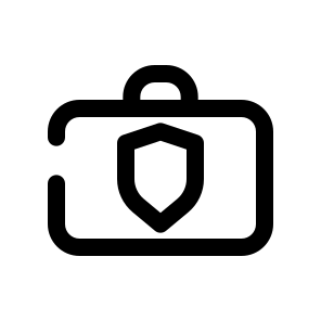 Baggage Protection 2 icon