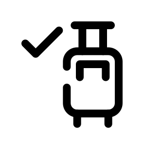 Checked Baggage 1 icon