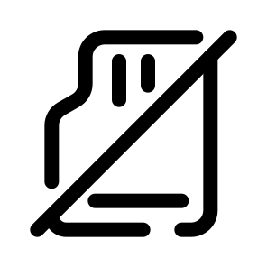 No Memory Card icon