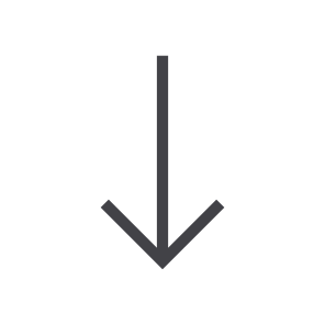 Arrow, Chevron, Direction, Interface, Down, Download, User icon