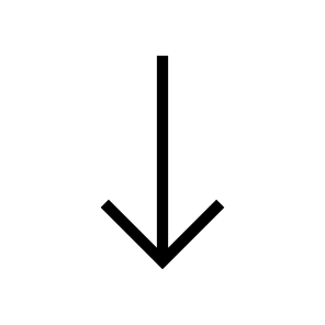 Arrow, Chevron, Direction, Interface, Down, Download, User icon